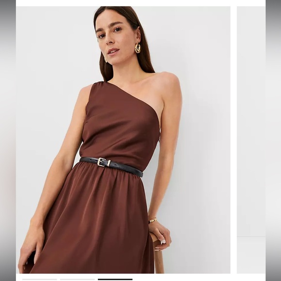 Ann Taylor One-Shoulder midi flare Dress (brown) size 0 - Picture 2 of 9